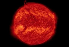 ظاهرة تحدث في الشمس كل عدة سنوات مرة تحيّر العلماء